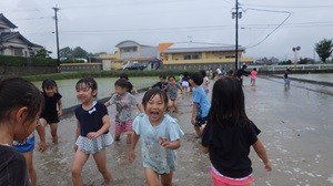 田植え②