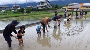 田植え⑥